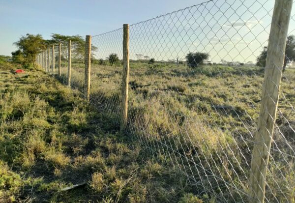 IMG20220310180021 IMG20220310180021