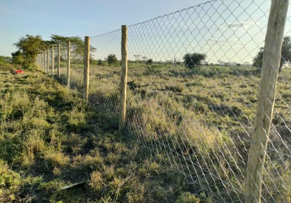 IMG20220310180021 IMG20220310180021