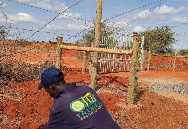 IMG_20230622_094725 IMG_20230622_094725