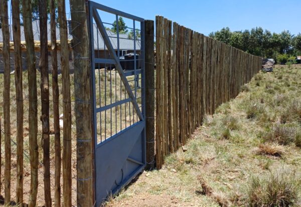 IMG-20240401-WA0131 IMG-20240401-WA0131