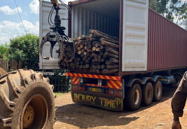 IMG-20240707-WA0082 IMG-20240707-WA0082