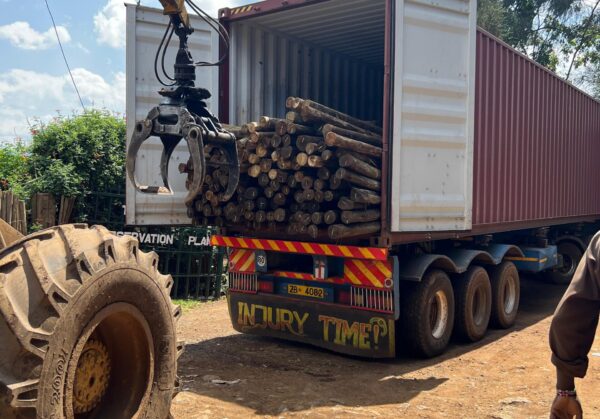 IMG-20240707-WA0082 IMG-20240707-WA0082